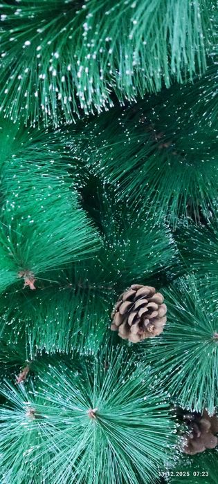 Archa, Ёлка, Арча