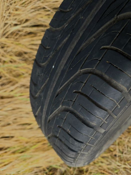 Продам летнюю шину Pirelli