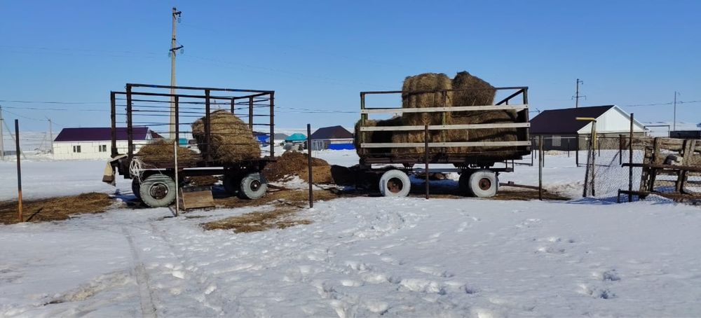 Продам прицеп или обмен на КРС