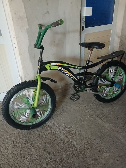 Барс велик сотилади