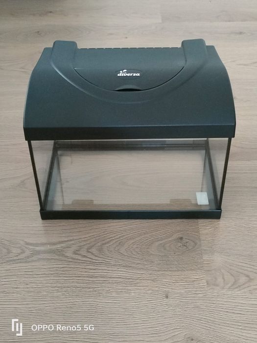 Acvariu pentru pesti