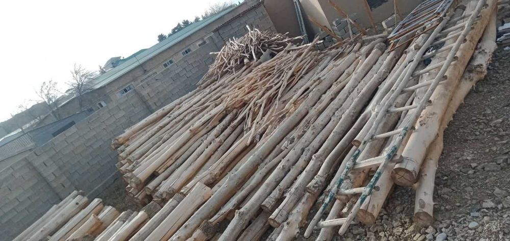 Дерево/Бревно 6м (терак)