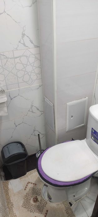 Yangi hayot Sputnik 15