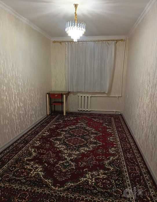 Ijaraga qizlar qo'yiladi sheriklikka Jahon tillari Farhod