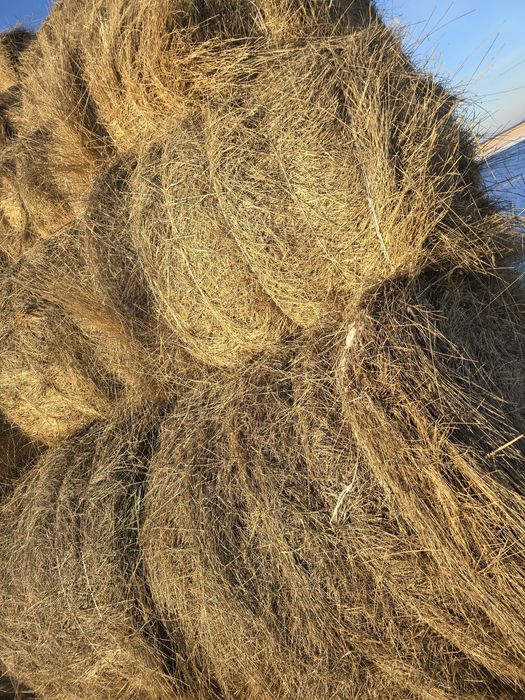 Рулоны пр 110 200 кг