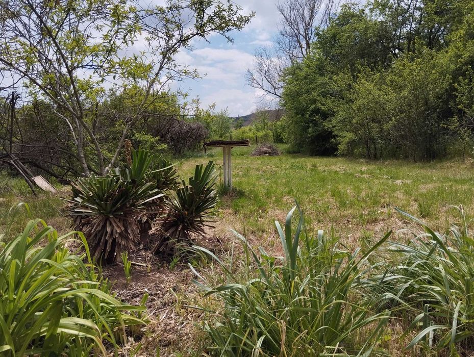 Продава се Къща в с. Долище, Област Варна - 60 кв.м за 1484 €/кв.м - Снимка #21