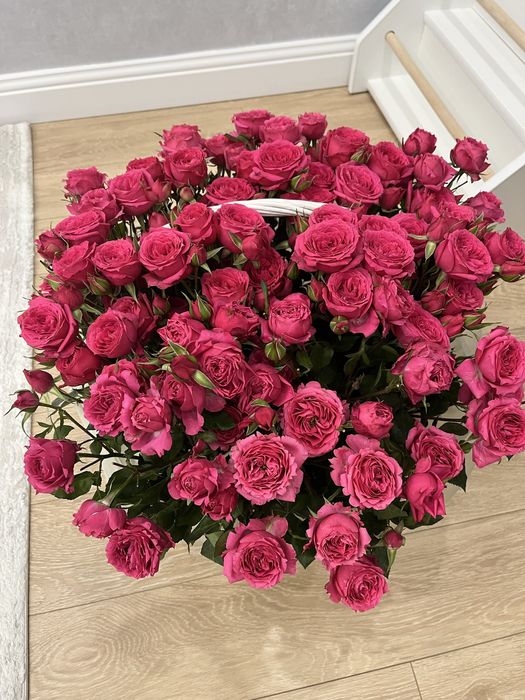 Кустарные розы в корзине , свежие