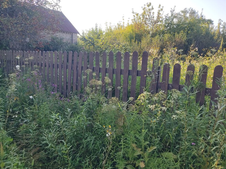 Продам дачу с домиком