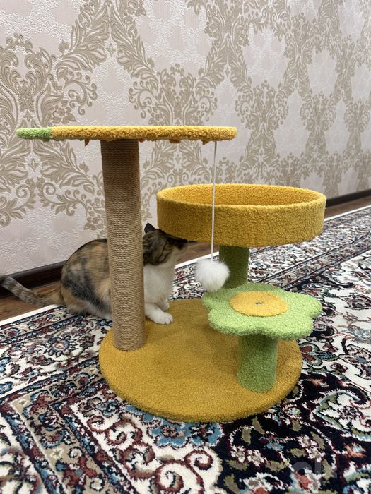 Кошачий домик в продаже