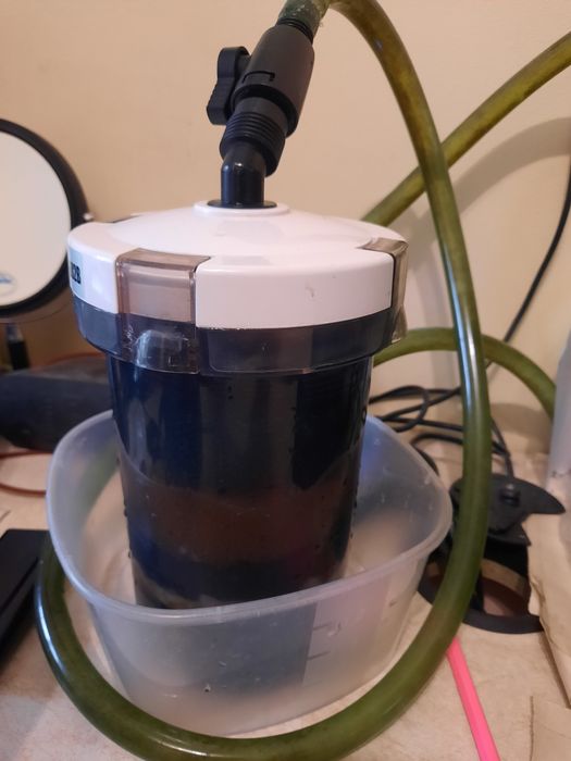 Аквариум в комплекте с тритонами.