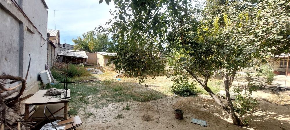 Прадайоса 12 сотик