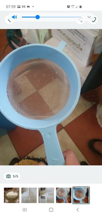 Ciuperca de kefir si ciuperca de Kombucha