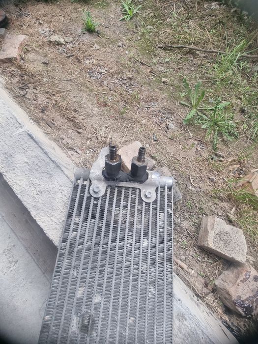 Радиатор охлаждения коровка