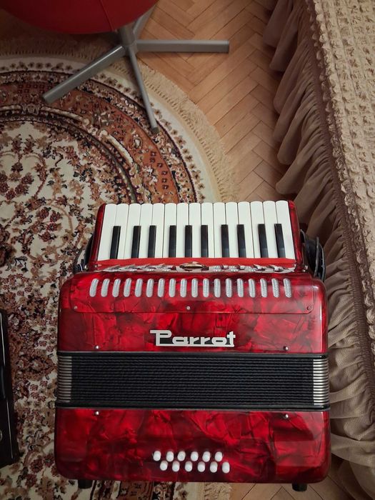 Acordeon pentru copii Parrot