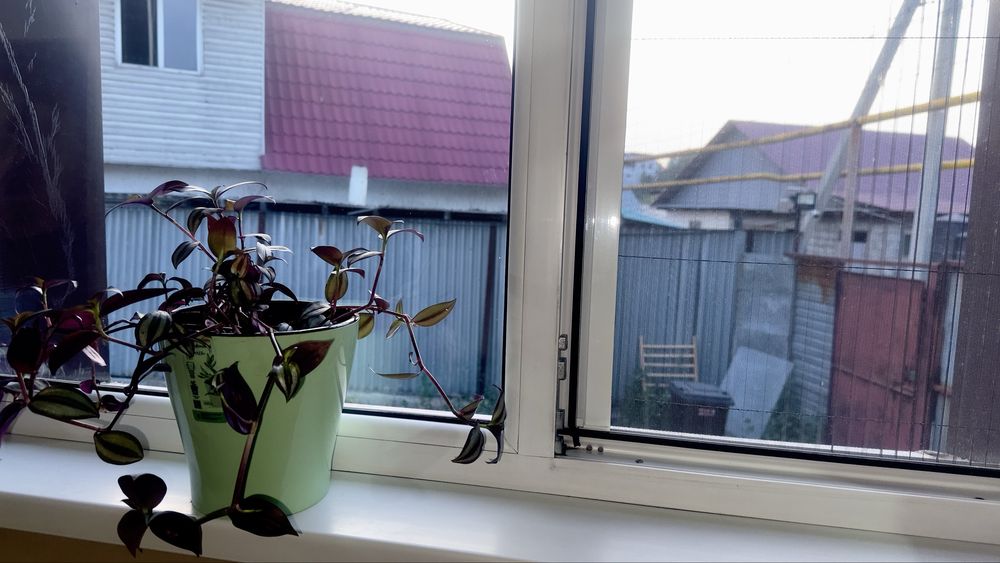 Продам срочно отдельно стоящий дом