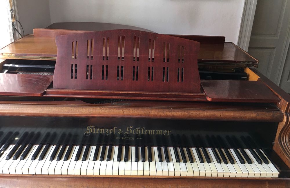 Vand pian vechi vienez Stenzel & Schlemmer cu coada scurta