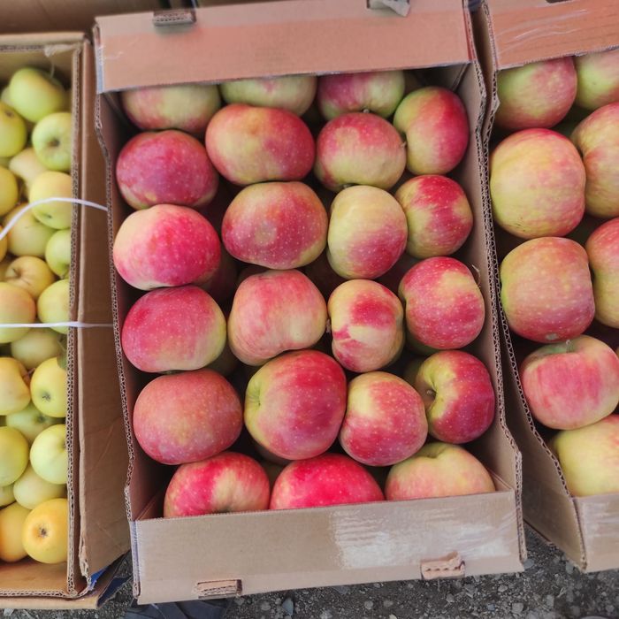 Яблоки с доставкой любой город 24/7