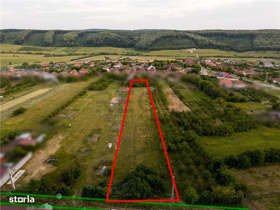 RECO Teren intravilan de vanzare Betfia, Bihor - 3000 mp, front strada