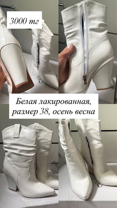 Осень весна от 3000