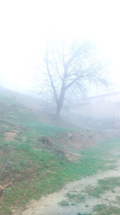 Oqtoshda yer sotiladi