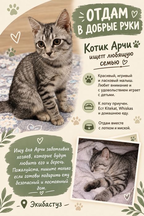 Отдам котёнка родился 14 мая