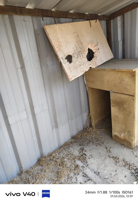 Вольеры для собак