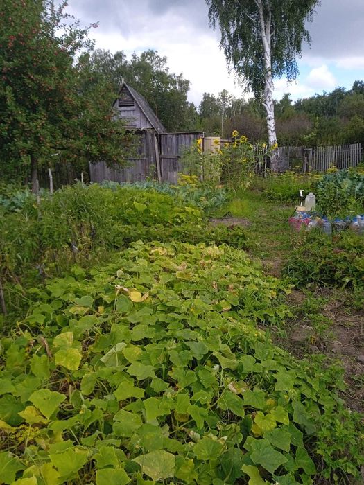 Продам дачу за Новопавловкой