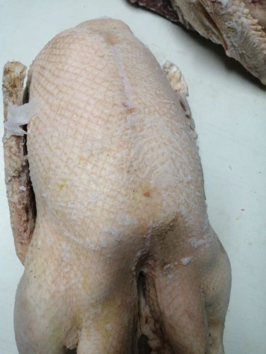 Продаю мясо гусей
