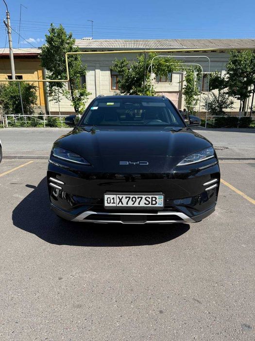 BYD Chempion 2024 Full
