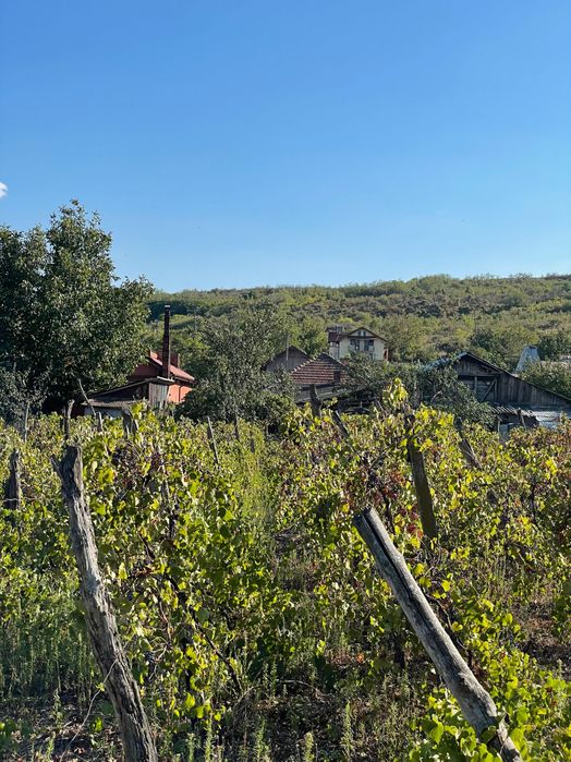 Vând casă in Podari in zonă excelentă