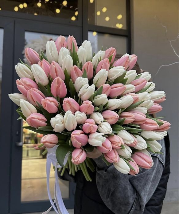 Поставки опт Тюльпаны Актобе