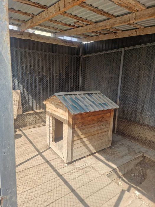 Будка для собаки крупных пород б/у