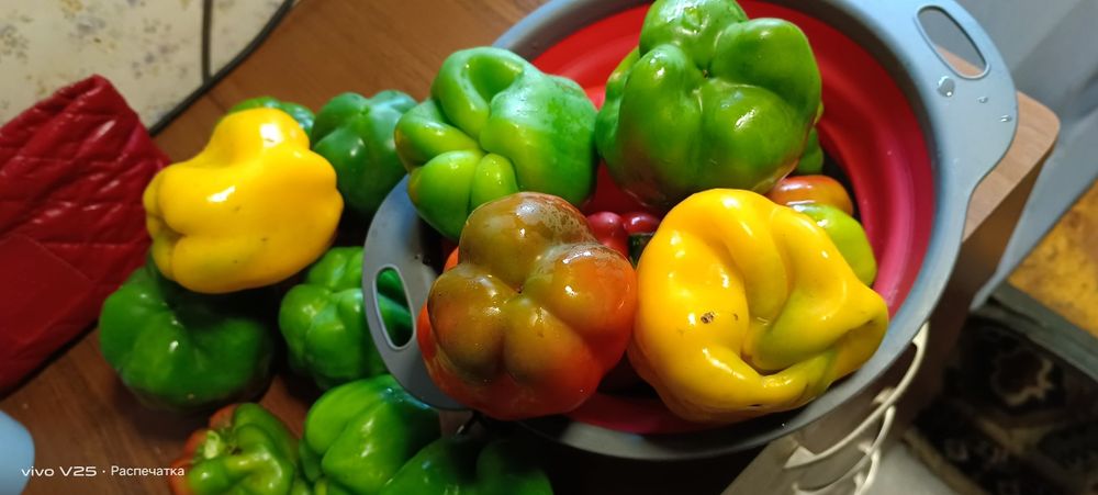 Продам зимнюю дачу в городе