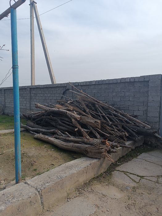 Дарахт Утин сотилади