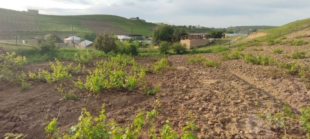 Yer sotiladi srochna