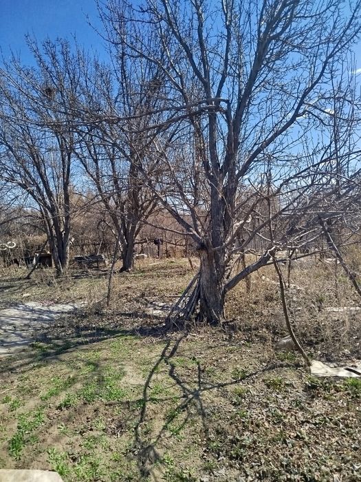 Дача 15соток вост.правый