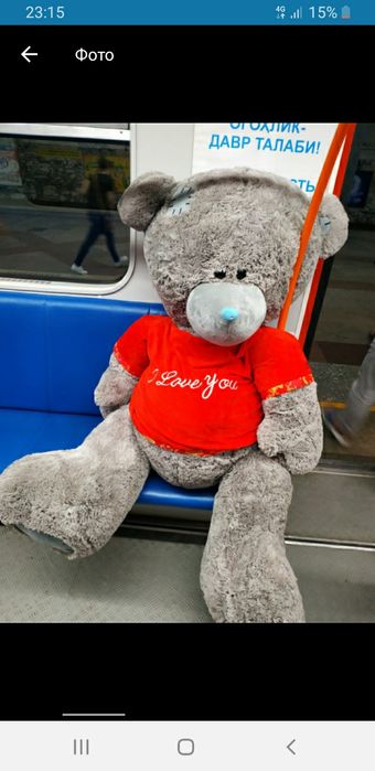 Teddi,Teddiy Teddy ayiqchalari