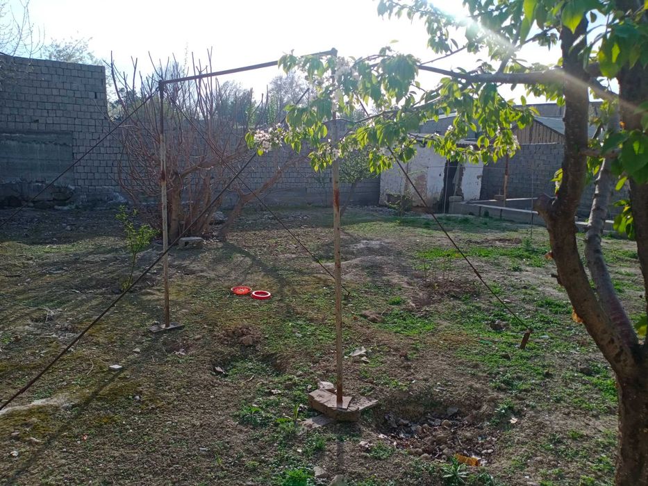 Участок земли с парником