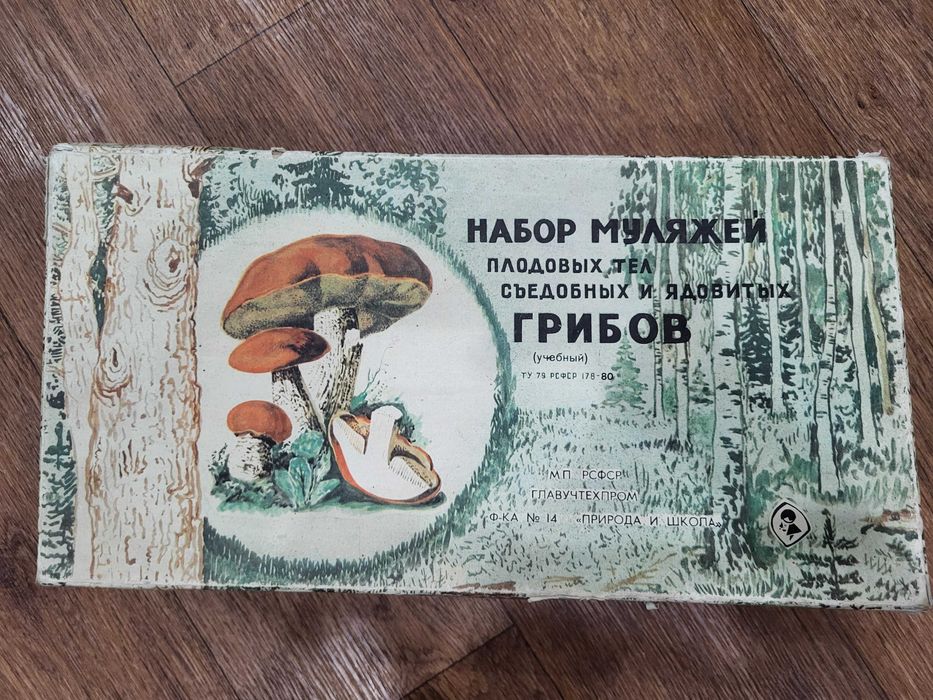 Муляжи грибов, советское учебное пособие