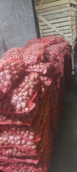 Vand cartofi samanta