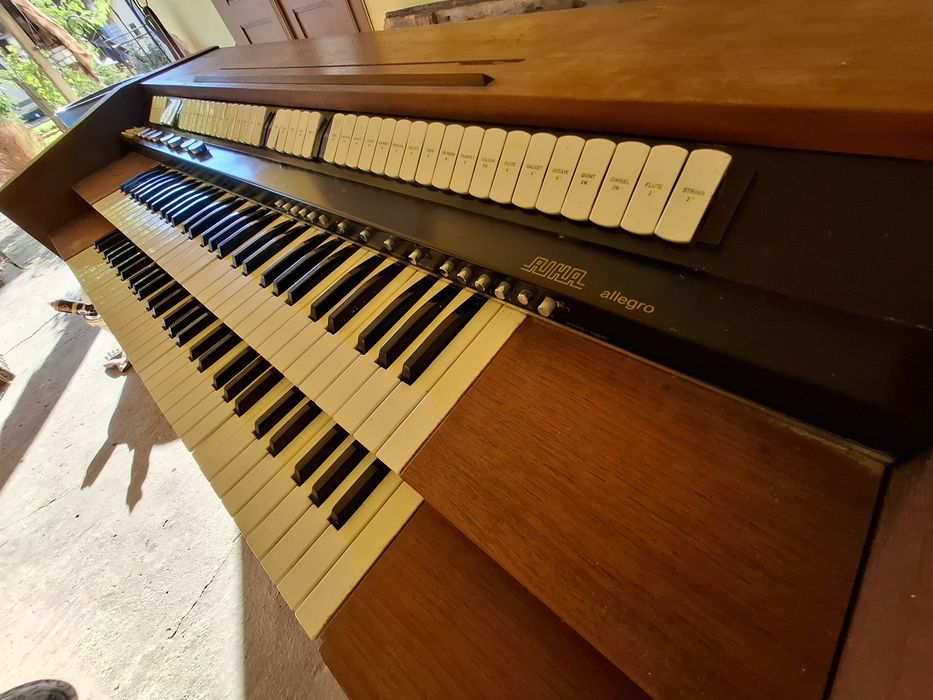 Vand Orga  Riha Allegro perfect functionala!