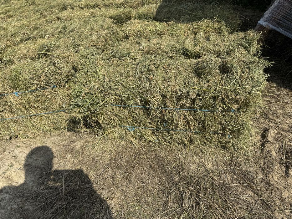 Baloti lucerna si fan prima coasa si a doua coasa si paie