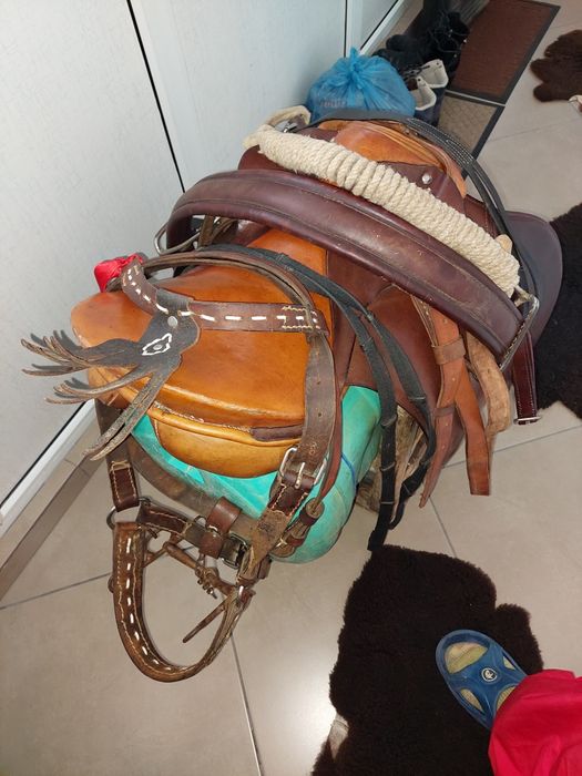 Vând șa călărie și antrenament