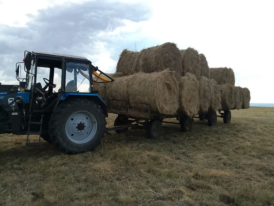 Сено для животных
