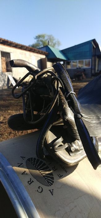 Ер тоқым сатылады