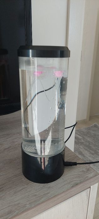 Лампа с малки медузи