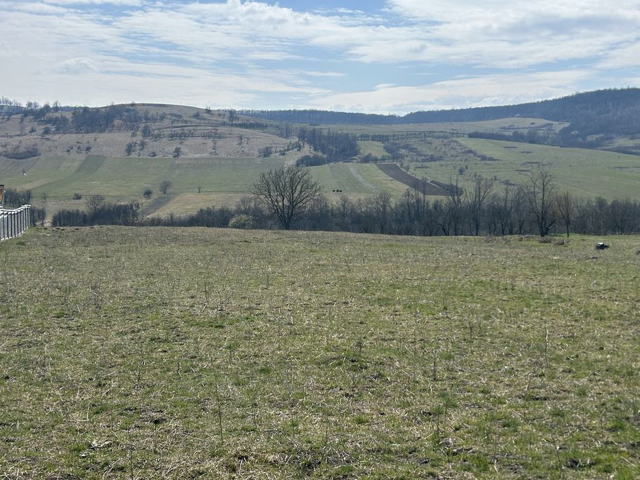 Teren de vanzare