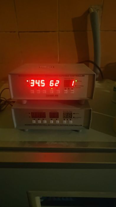 Incubator,clocitoare tehno ms256