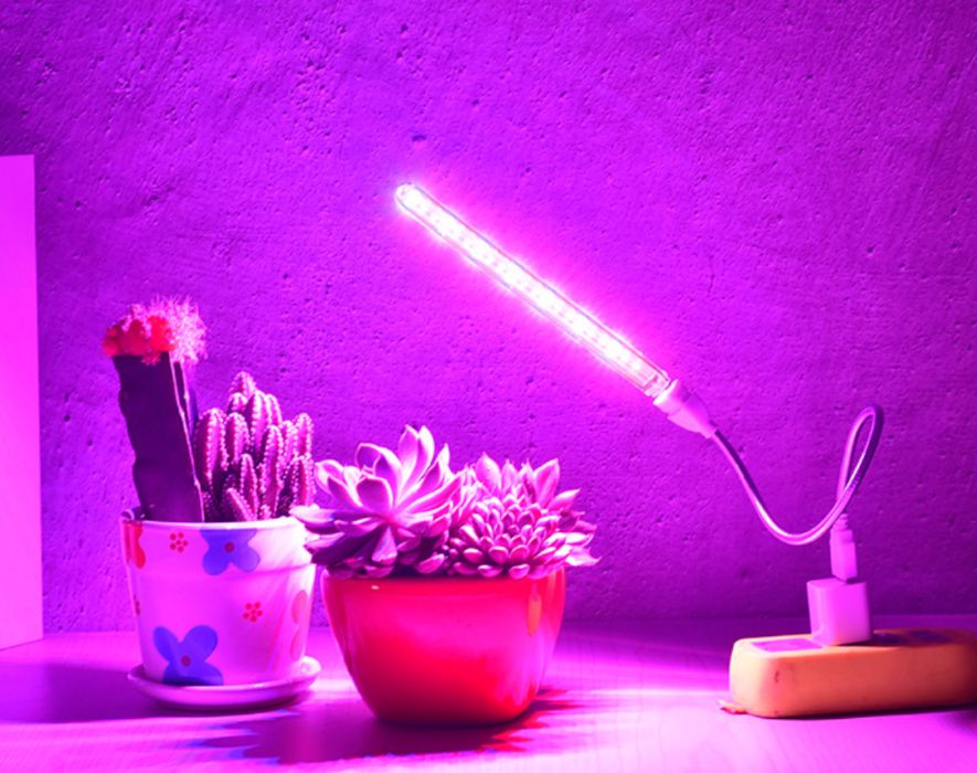 лампа для растений- фито лампа