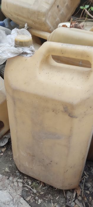 Конистрра советская .